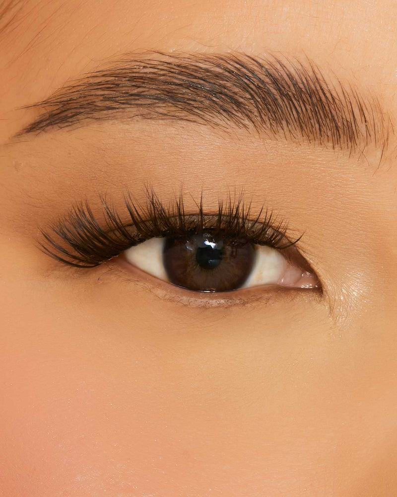 BELLA LASH EXTENSION BUNDLE