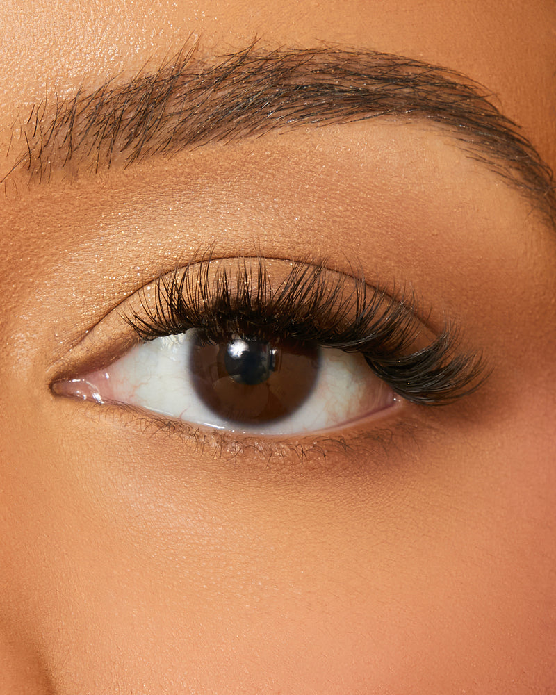 DAISY LASH EXTENSION BUNDLE