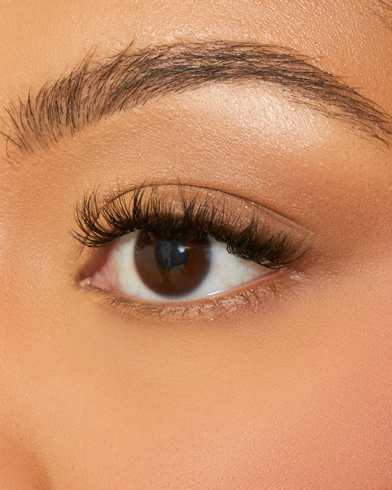 DAISY LASH EXTENSION BUNDLE