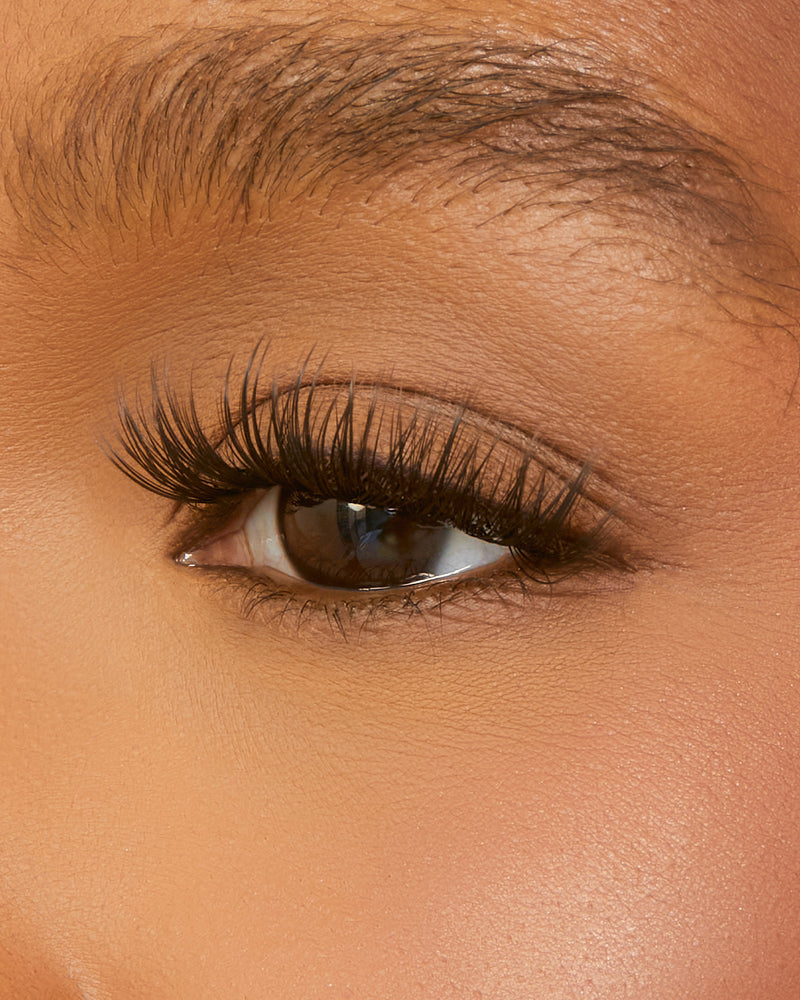 MOLLY LASH EXTENSION BUNDLE