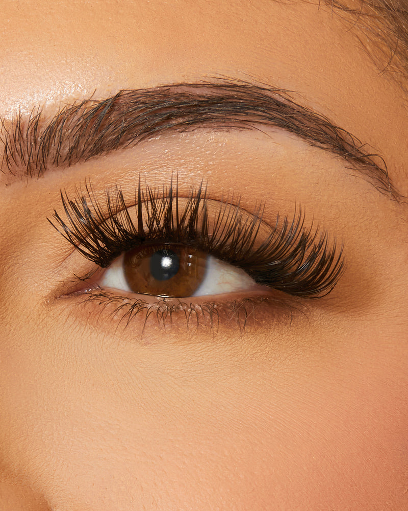 STASI LASH EXTENSION BUNDLE